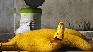 LARVA  GLOVE  2017 Cartoon  Cartoons For Children  Kids TV Shows Full Episodes [upl. by Hselin]