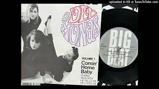 The Delmonas  Comin Home Baby Big Beat Dec 1984 [upl. by Suzetta]