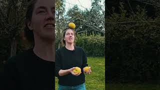 Panic picking apples leads to juggling OurChateauLife [upl. by Aritak]