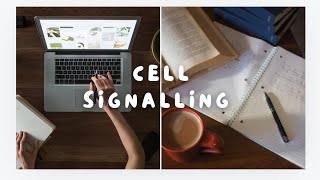 Cell Signalling Key Pathways Mechanisms and function study notes [upl. by Eninotna120]