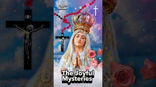 TODAYS ROSARY THE JOYFUL MYSTERIES 🌹 ROSARY SATURDAY NOVEMBER 23 2024 rosarytoday holyrosary [upl. by Trout895]