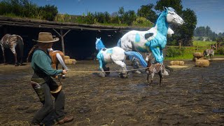 Red Dead Redemption 2 Horses  Cowgirl Tames Big And Tiny Horses at Emerald Ranch [upl. by Pamella]