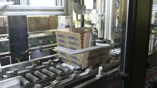 eCampus eCube Packing Machine Video [upl. by Wehner847]