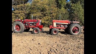 Some plowing action with a 1066 black stripe and a 1466 international [upl. by Anassor]