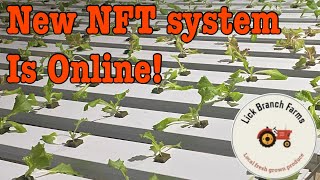 New NFT system online and in production  Crop King NFT trays [upl. by Giah]