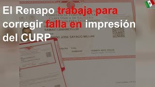 Renapo trabaja para corregir falla en impresión del CURP [upl. by Sausa972]