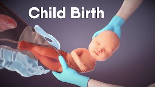 Labor And Delivery  Childbirth  Dandelion Medical Animation labor [upl. by Araeic996]