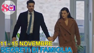 Segreti di Famiglia 11  15 Novembre Anticipazioni Ceylin scopre il segreto di Metin e Yilgaz [upl. by Annaeoj]