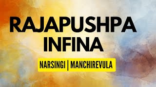 Rajapushpa Infina  Narsingi  Manchirevula  Kokapet  Neopolis [upl. by Votaw]