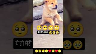 Love you baby love 💕💕💕 song music love lovesong tamil doglover lovesongs cute [upl. by Anipsed]