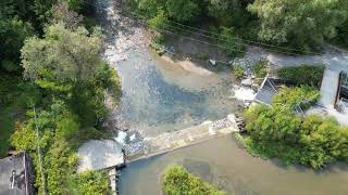 Salmon Run 2024Fish Ladder  Bowmanville Ontario Canada [upl. by Yartnod]