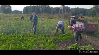 kopiemy wybieramy Odra idzie w górę  bardzo ciężkie dni [upl. by Inittirb343]