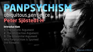 Panpsychism – Peter SjöstedtH [upl. by Marjory]