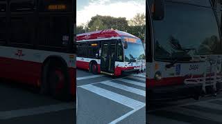 shorts TTC 3404 Repainted Novabus LFS HEV on route 169A Hunttingwood to Don Mills Station [upl. by Ayihsa]