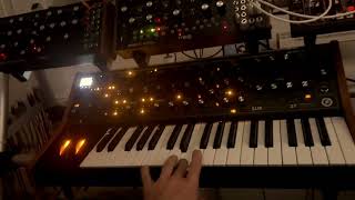 Moog Subsequent 37 amp Manis Iteritas Alia [upl. by Annid974]