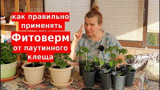 Фитоверм инструкция от паутинного клеща [upl. by Willner]