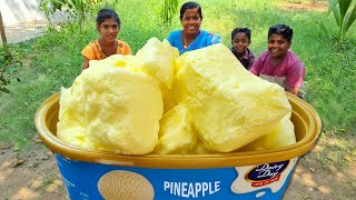 ICE CREAM MAKING  Homemade Ice Cream  Pineapple Flavor Ice Cream Recipe  Village Fun Cooking [upl. by Rashidi]