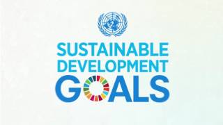 Transitioning from the MDGs to the SDGs [upl. by Maurits926]