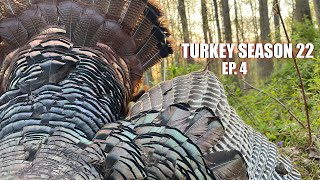 BED to DEAD  PA OPENING DAY GOBBLER DOWN  Spring Turkey Hunting 2022 [upl. by Yedorb]