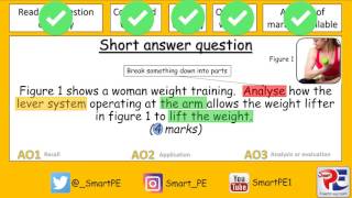 GCSE PE Lever Systems [upl. by Nelehyram]