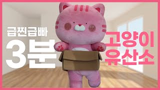 🐈 쓸데없이 진지한근데 또 웃긴😹✨ 오모냥 홈트레이닝 Special Clip [upl. by Datha]