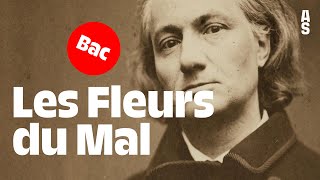 Les Fleurs du Mal Charles Baudelaire  Bac français 2024 [upl. by Baily]