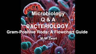 Microbiology QampA Bacteriology  Gram Positive Rods A Flowchart Guide [upl. by Iphlgenia]