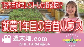 就農一年目の育苗ハウスとキャベツ大爆発｜15代目がセレクトした野菜とは？ [upl. by Lidah692]