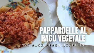 PAPPARDELLE E SPESA PER GLI UCCELLINI [upl. by Nnaasil]