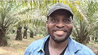 6 Cultures Agricoles à Lancer en Afrique avec Suivi à distance pour la Diaspora [upl. by Eldreda]