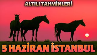 5 Haziran İstanbul At Yarışı  2Altılı Tahminleri tjk zaferyolu [upl. by Odnam]