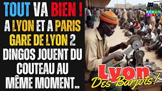 A LYON UN DINGO FICHÉ S BIEN SUR FRAPPADINGUE JOUE DU COUTEAU AU MÊME INSTANT A GARE DE LYON [upl. by Eidarb]