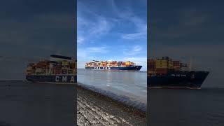 CMA CGM SHIPPING SHIP  CMA CGM TAGE  CONTAINER SHIP ytshorts tranding [upl. by Zasuwa59]