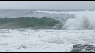 INSANE SURFING NOOSA CYCLONE UESI  Raw Footage [upl. by Ettezoj439]