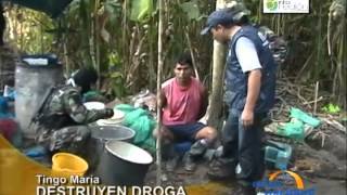 Capturan a dos narcotraficantes en plena fabricación de droga en Tingo María [upl. by Colis]