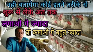 How To Start Egg Production Poultry Farmअंडे का उत्पादन पोल्ट्री फार्म कैसे शुरू करें [upl. by Sokem]