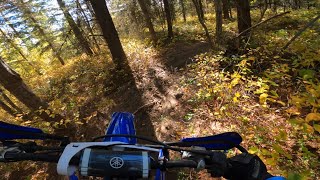 Fall Singletrack at Bardolph Lake  YZ250X Ep77 [upl. by Gimpel520]