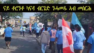 Mestyat Betna  ናይ ቶሮንቶ ካናዳ ብርጌድ ንሓመዱ ኣብ መስርሕ [upl. by Rus]