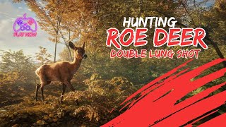 theHunter Call of the Wild™  Master Hunter Bundle  HUNTING ROE DEER G4  XBOX GAMEPLAY [upl. by Ybot]