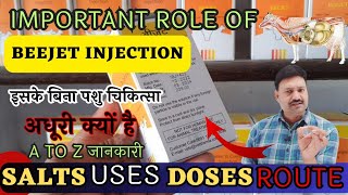 Beejet Injection क्यों है इतना जरूरी 💉 B complex injection veterinary uses in hindi [upl. by Eldnik934]