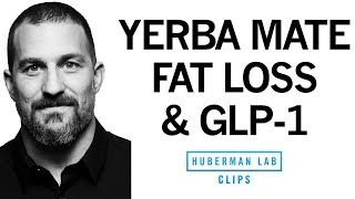 What is GLP1 amp How Does It Reduce Appetite amp Promote Weight Loss  Dr Andrew Huberman [upl. by Ylrrad655]