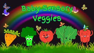 Baby Sensory Veggies [upl. by Ardnoel]