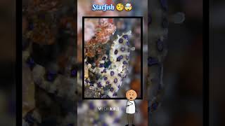 Starfish 🤯 viral shorts [upl. by Robbi566]