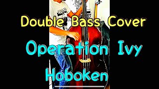 【Double Bass Cover】 Operation Ivy  Hoboken [upl. by Gleich]