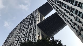 Iconic PinnacleDuxton Skyscraper and Scenic 50story Skybridge  Public Housing in Singapore [upl. by Oiramrej357]