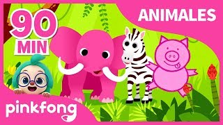 Canciones de Animales para Niños  Animales  Pinkfong Canciones Infantiles [upl. by Alessig]