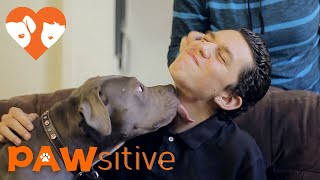 Autistic Boy Finds The Meaning of Love Through Pit Bull  PAWsitive 🧡 [upl. by Aleck]