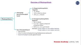 Photosynthesis  Chlorophyll  Bacteriochlorophyll  Bacteriorhodopsin  CSIR  IITJAM  GATE [upl. by Elly167]