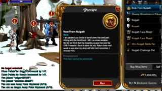 AQW Nulgath Birthday Shop And Nulgath Challenge Pet Quests 2014 [upl. by Nesyla]