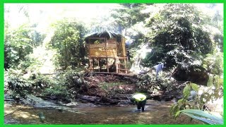 360 Dias de Supervivencia  Construir refujio pesca caza y cocina en la selva tropical FULL VIDEO [upl. by Parnas946]